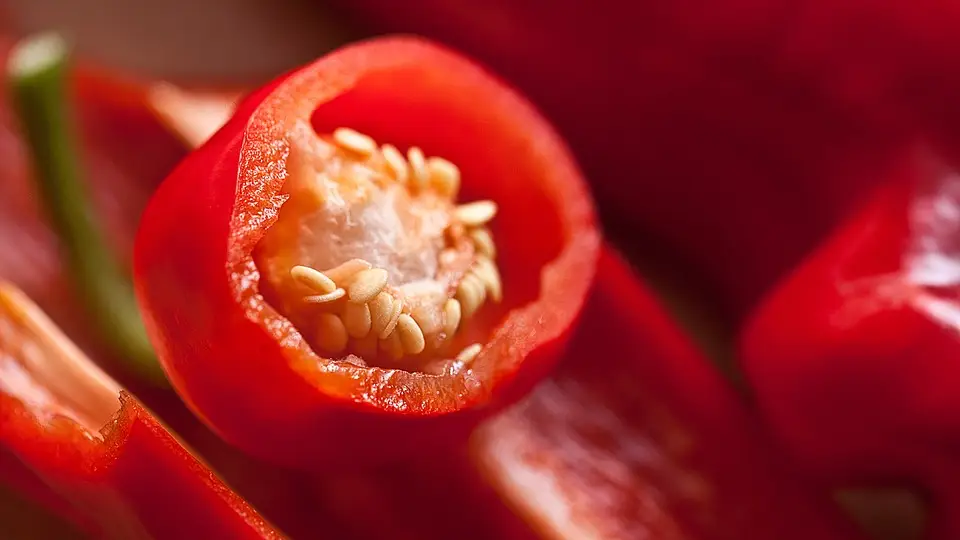 Imagen de archivo de un pimiento rojo Imagen de archivo de un pimiento rojo