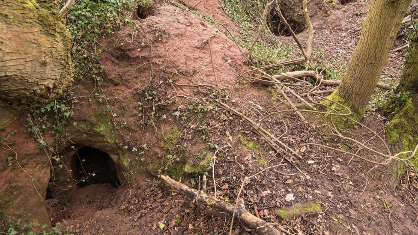 Una madriguera descubre la misteriosa cueva de los 'Caballeros Templarios'