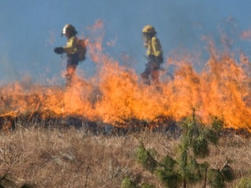 El cambio climático aumentará los incendios forestales en Europa en las próximas décadas