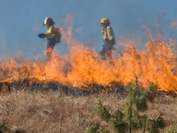 El cambio climático aumentará los incendios forestales en Europa en las próximas décadas El cambio climático aumentará los incendios forestales en Europa en las próximas décadas