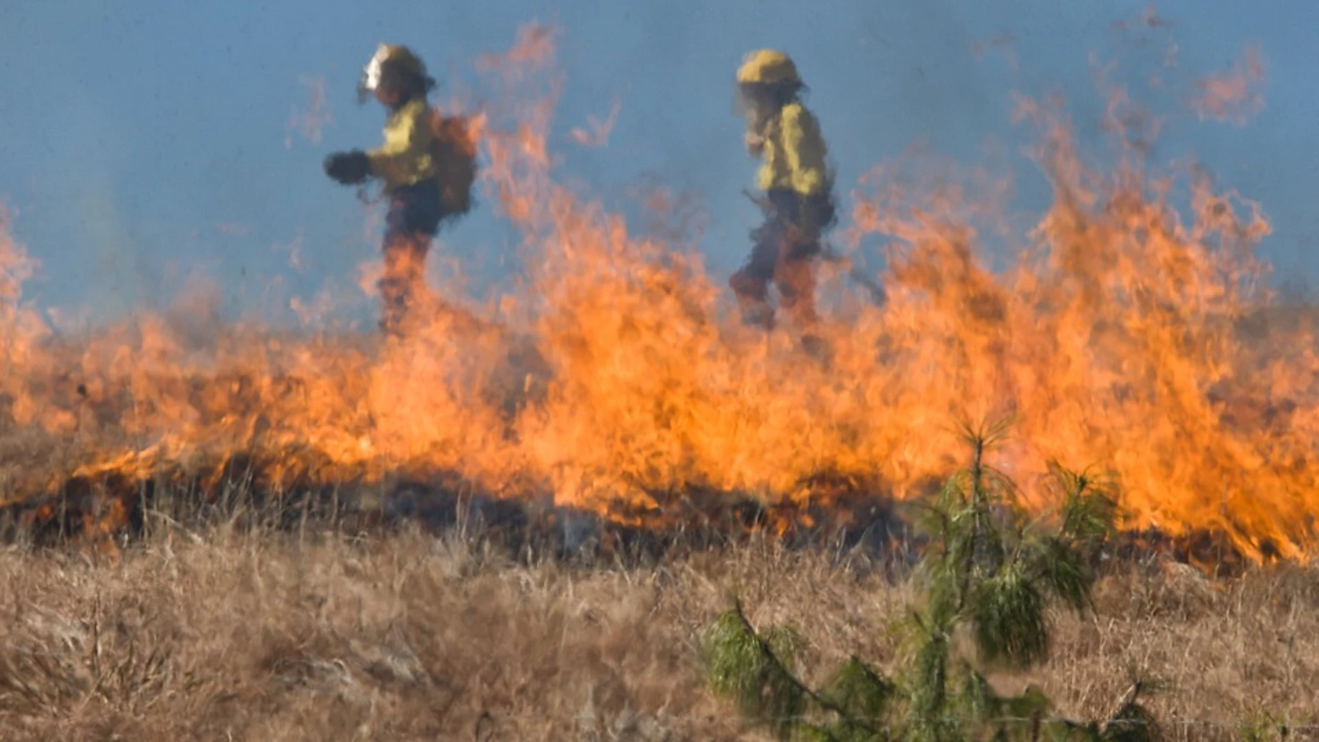 El cambio climático aumentará los incendios forestales en Europa en las próximas décadas El cambio climático aumentará los incendios forestales en Europa en las próximas décadas