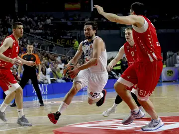 Sergio Llull penetra a canasta ante el Estrella Roja Sergio Llull penetra a canasta ante el Estrella Roja