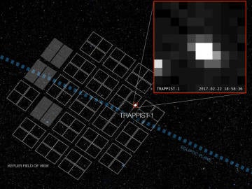 Primera imagen de Trappist, el sistema de los siete exoplanetas descubiertos por la NASA
