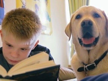 Un niño junto a su perro - Imagen de archivo