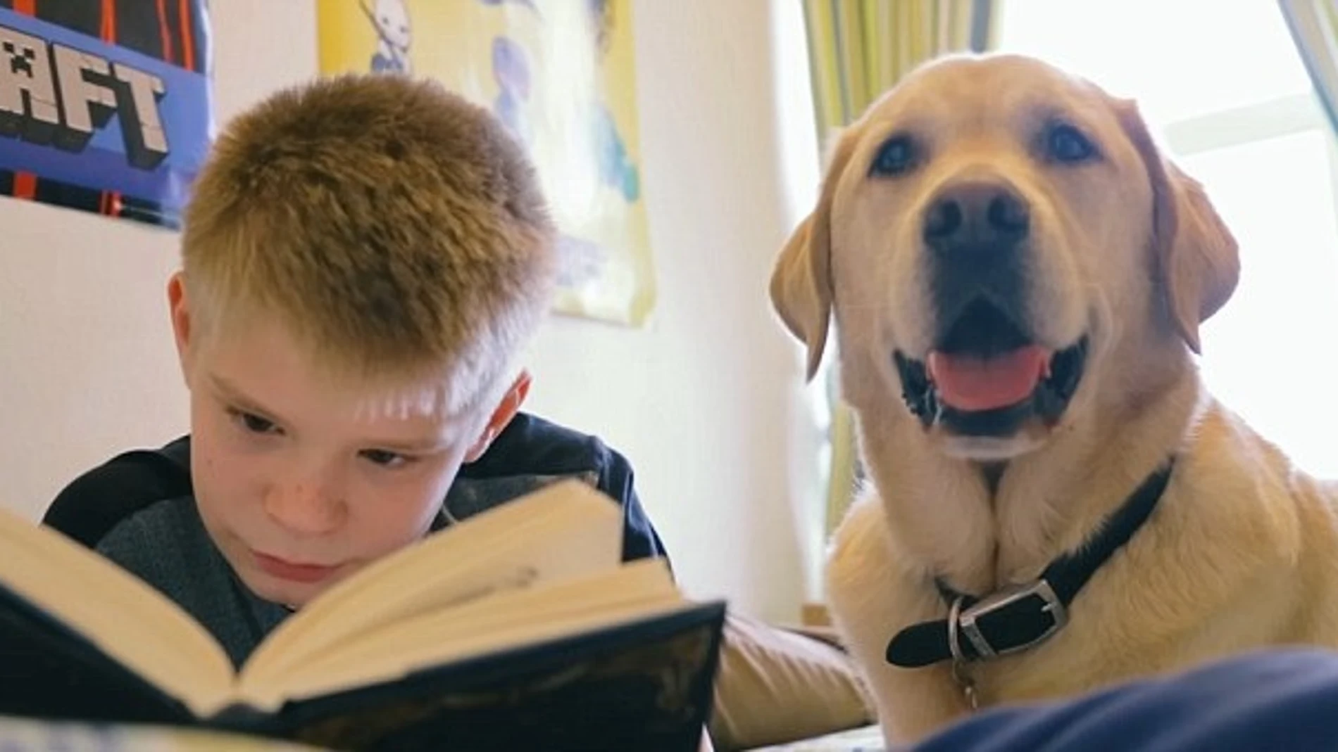 Un niño junto a su perro - Imagen de archivo Un niño junto a su perro - Imagen de archivo