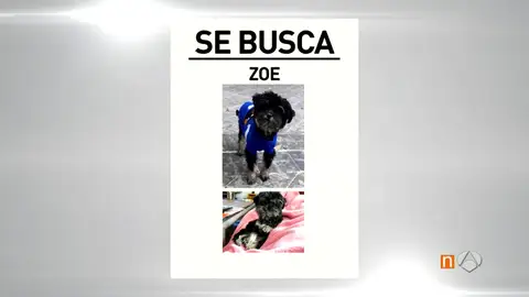 Frame 95.157426 de: robodeèrros Frame 95.157426 de: robodeèrros