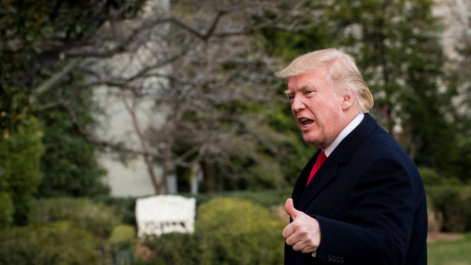Donald Trump, presidente de Estados Unidos Donald Trump, presidente de Estados Unidos