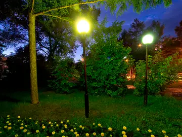 El parque de Komsomolsk del Amur El parque de Komsomolsk del Amur