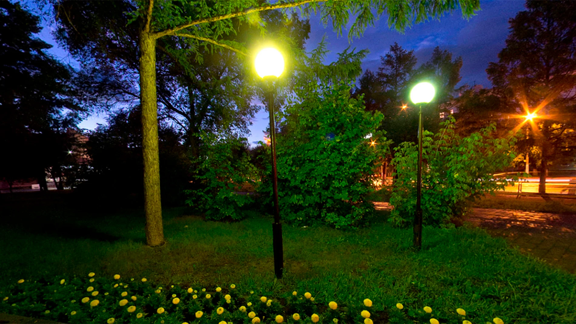 El parque de Komsomolsk del Amur El parque de Komsomolsk del Amur