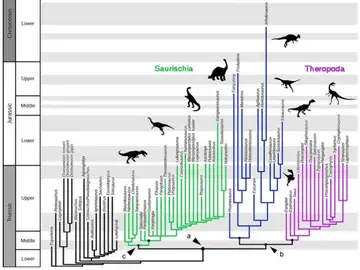 Una nueva hipótesis sacude el árbol geneaológico de los dinosaurios Una nueva hipótesis sacude el árbol geneaológico de los dinosaurios