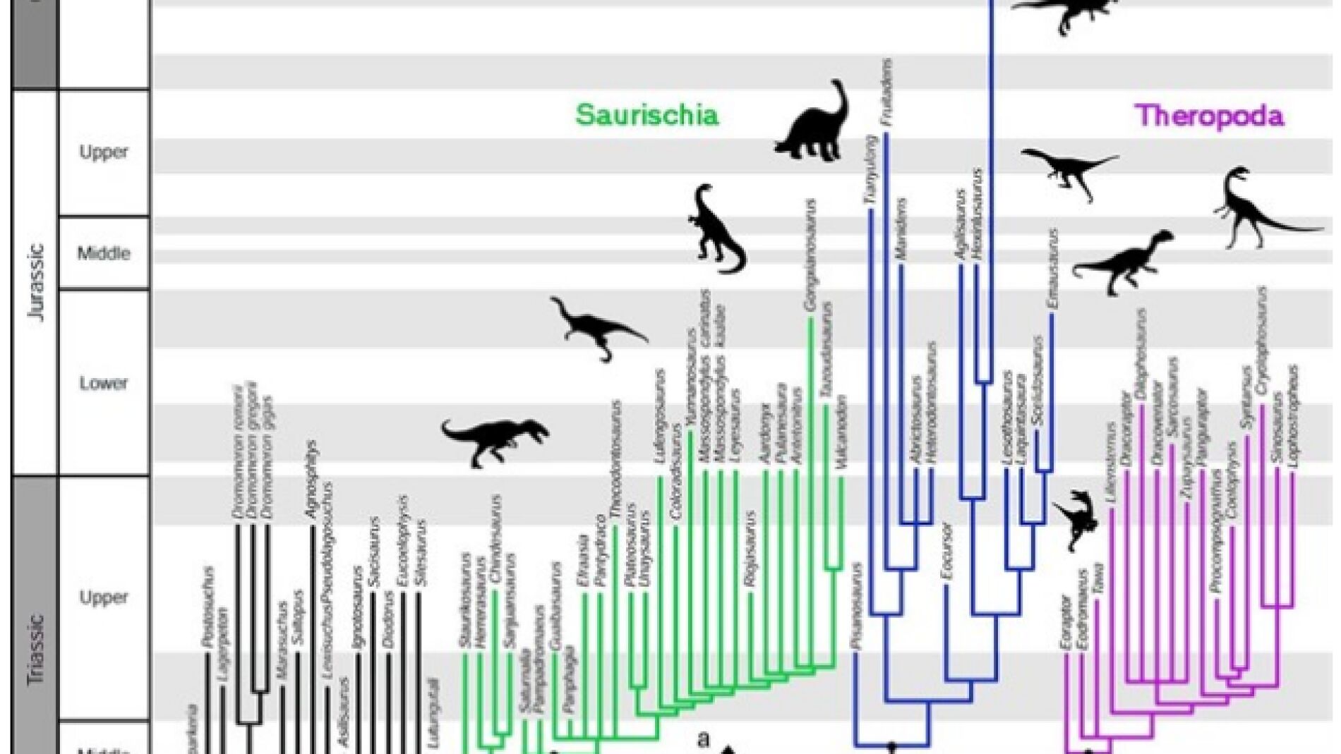 Una nueva hip&oacute;tesis sacude el &aacute;rbol geneaol&oacute;gico de los dinosaurios