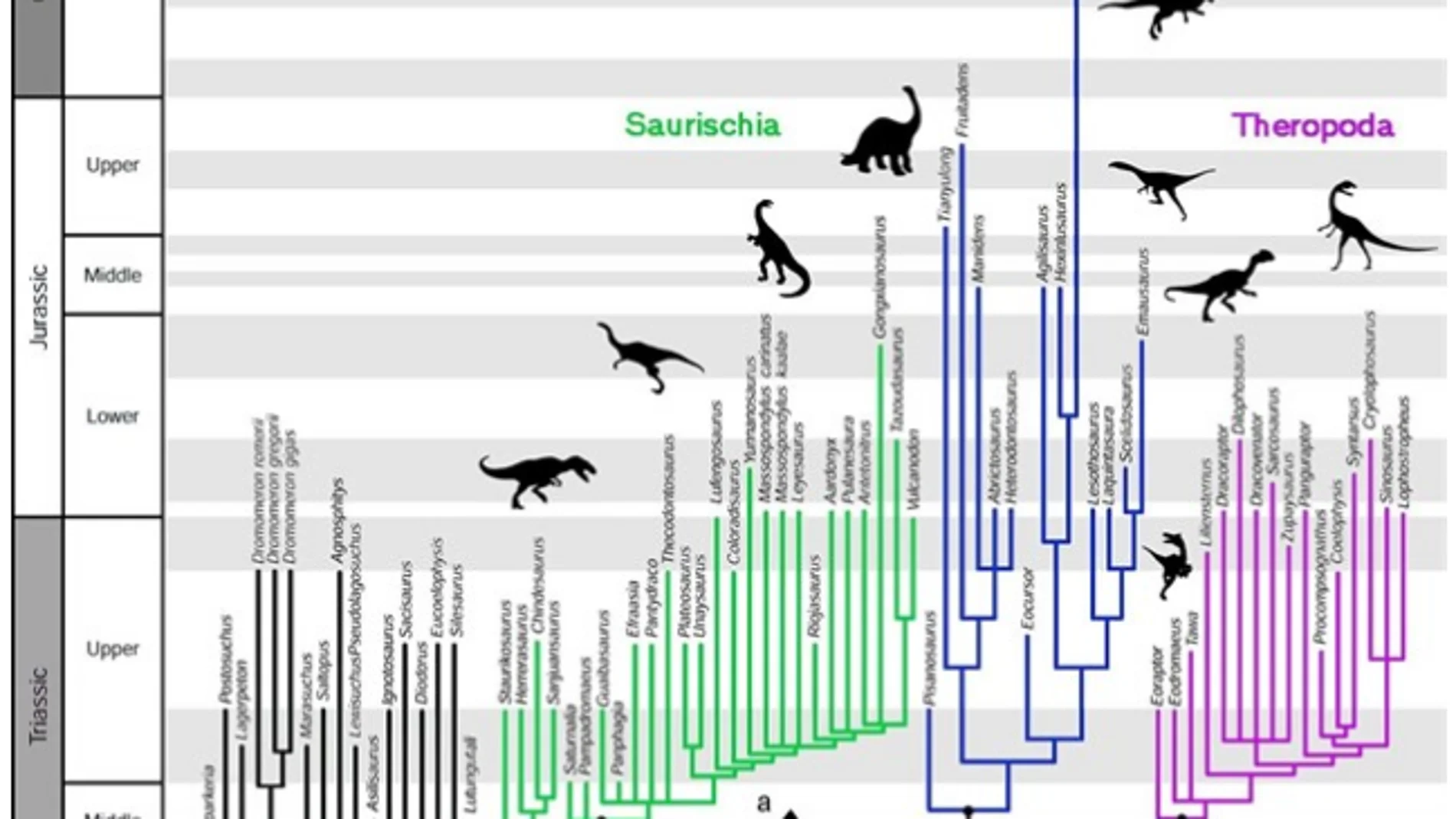 Una nueva hipótesis sacude el árbol geneaológico de los dinosaurios Una nueva hipótesis sacude el árbol geneaológico de los dinosaurios