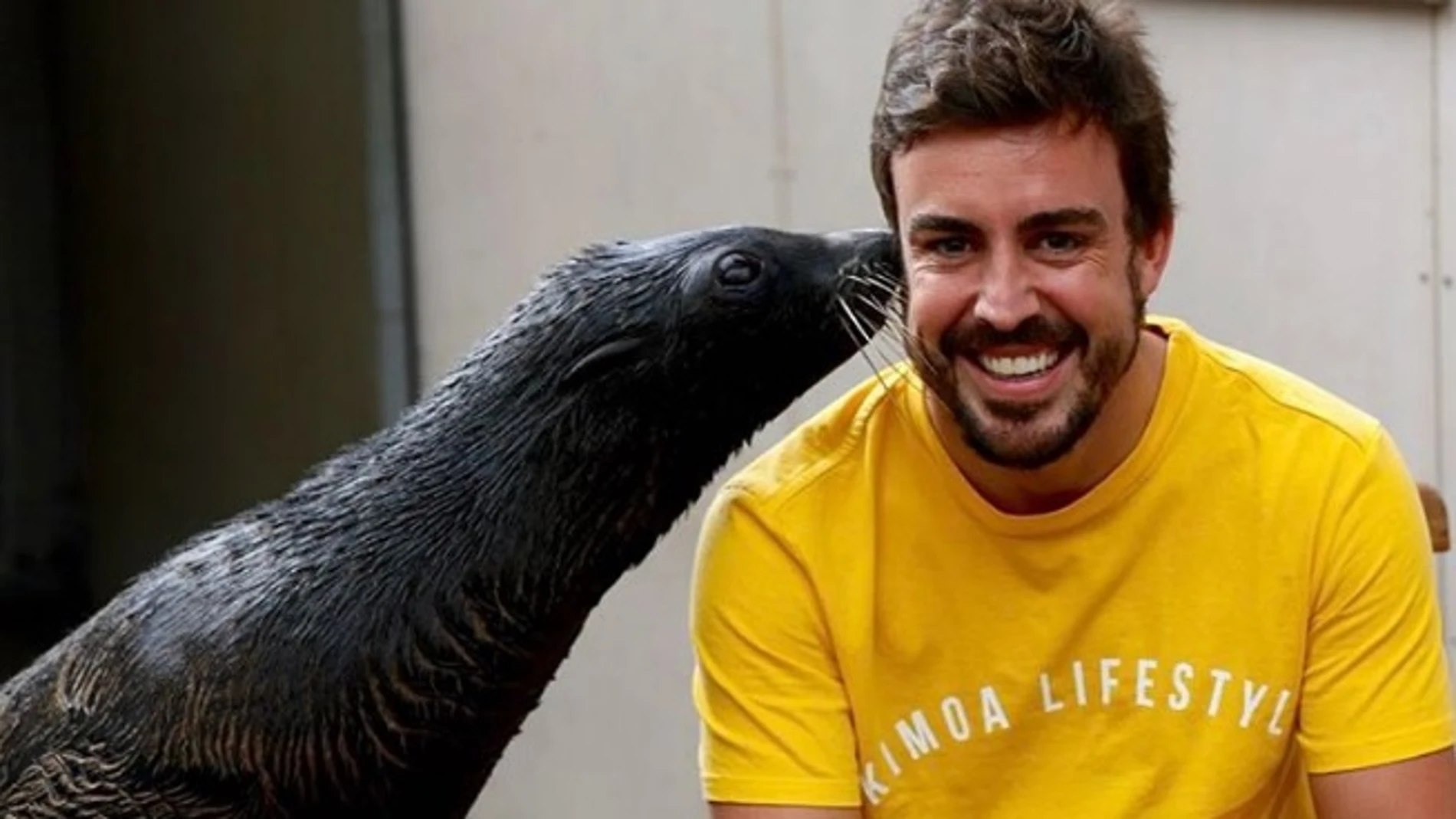 Fernando Alonso se ríe junto a una foca en el zoo de Melbourne