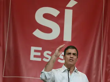 El exsecretario general del PSOE y aspirante a la reelección, Pedro Sánchez El exsecretario general del PSOE y aspirante a la reelección, Pedro Sánchez