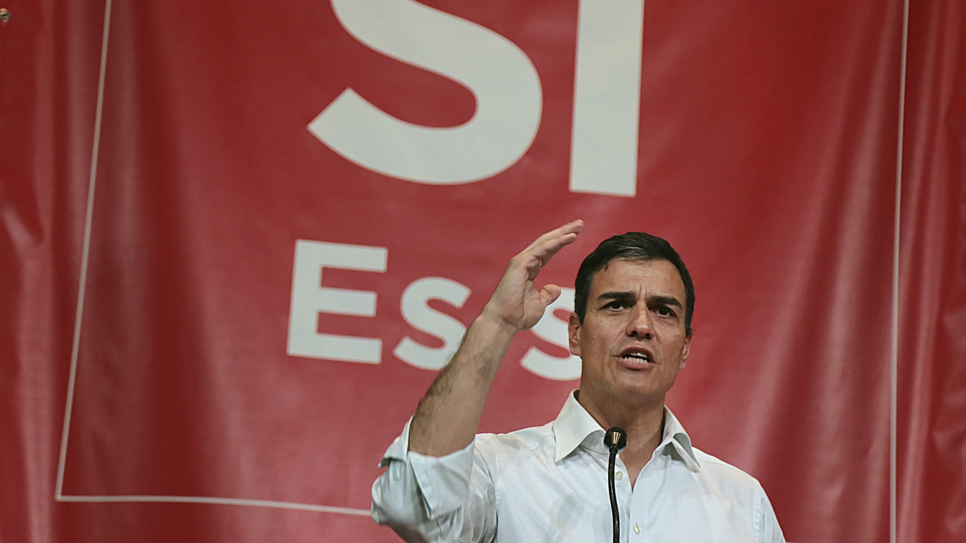 El exsecretario general del PSOE y aspirante a la reelección, Pedro Sánchez El exsecretario general del PSOE y aspirante a la reelección, Pedro Sánchez
