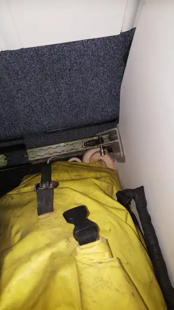 La serpiente en el lugar donde fue hallada La serpiente en el lugar donde fue hallada