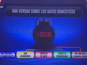 Frame 1.013233 de: Cosas de gatos Frame 1.013233 de: Cosas de gatos