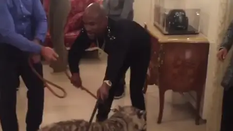 Mayweather, con sus dos tigres Mayweather, con sus dos tigres