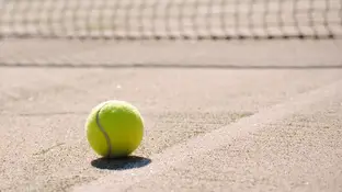 Pelota de tenis Pelota de tenis