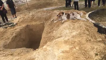 Bobby descansa al lado de donde se enterrará a su dueña Bobby descansa al lado de donde se enterrará a su dueña