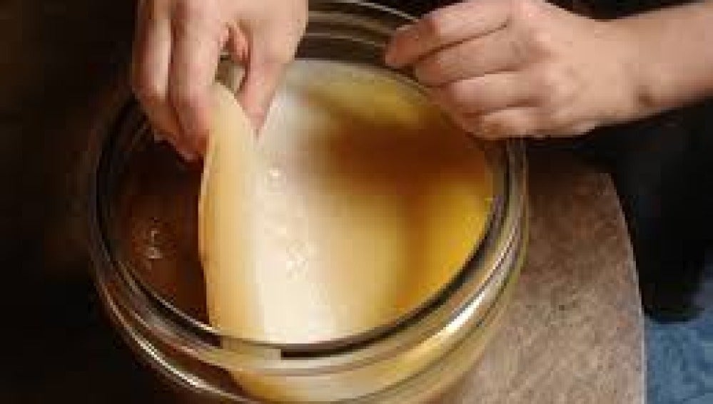 Kombucha
