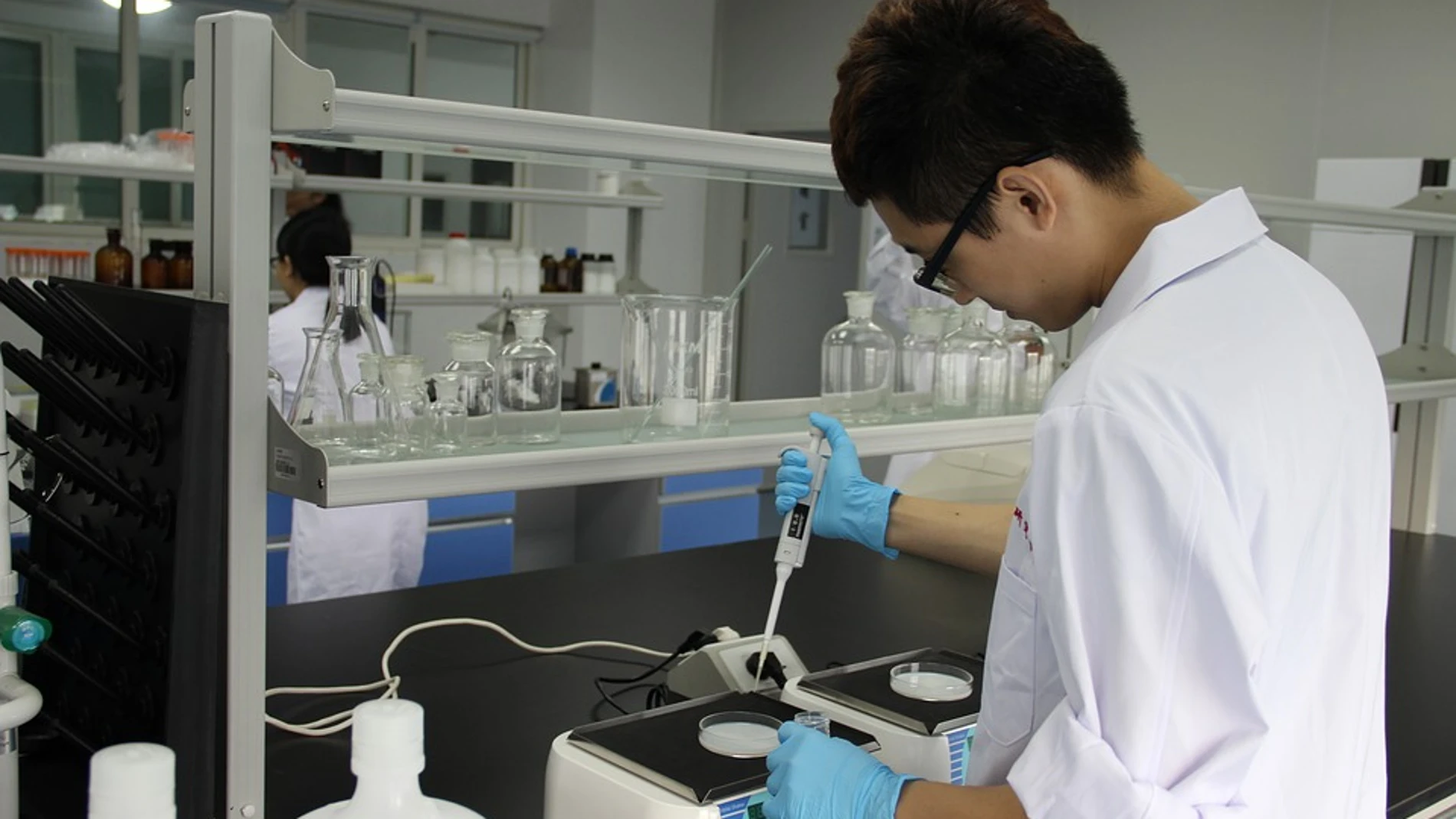 Investigación contra el cáncer Investigación contra el cáncer