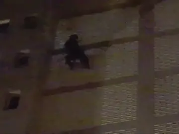 Frame 11.362973 de: Un “spiderman” escala hasta la planta 15 por la pared de un edificio de Gran Canaria Frame 11.362973 de: Un “spiderman” escala hasta la planta 15 por la pared de un edificio de Gran Canaria