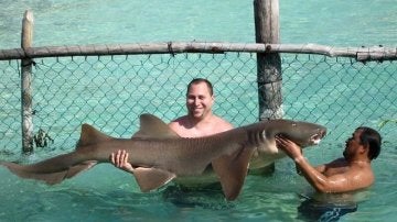Dos turistas se fotografían con un tiburón