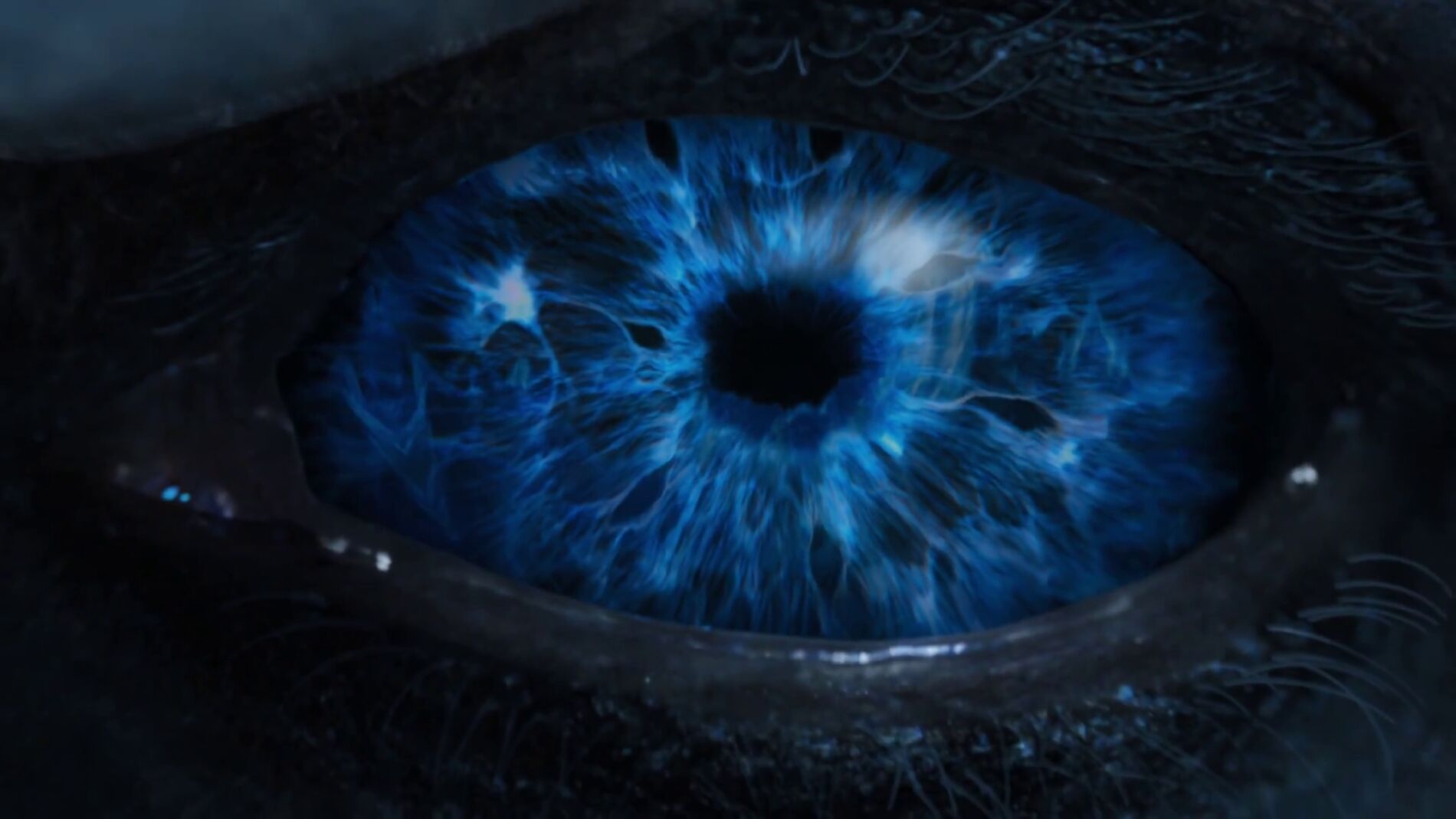 El ojo de un Caminante Blanco