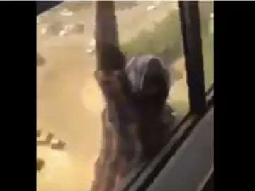 Mujer cae desde un séptimo piso mientras es grabada por su jefa Mujer cae desde un séptimo piso mientras es grabada por su jefa