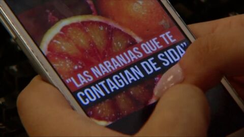 Frame 65.325008 de: Existen perfiles en las redes sociales encargados de desmentir los bulos en Internet