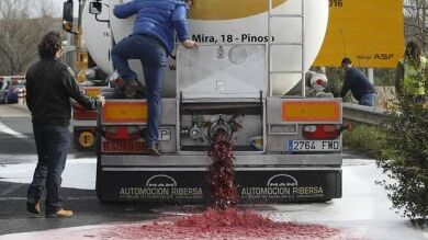 El Gobierno condena las últimas acciones perpetradas contra los vinos españoles en Francia 