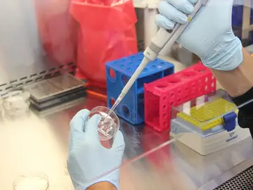 Ciencia en el laboratorio Ciencia en el laboratorio