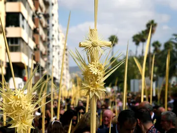 Domingo de Ramos en Elche. Domingo de Ramos en Elche.