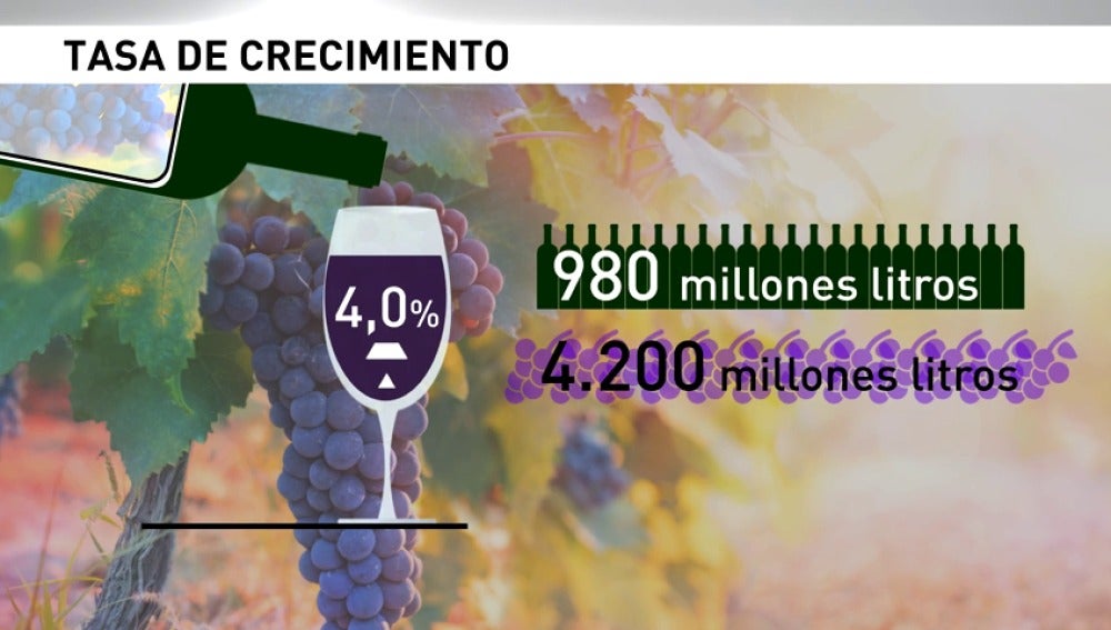 Frame 25.003555 de: Crece el consumo de vino en España