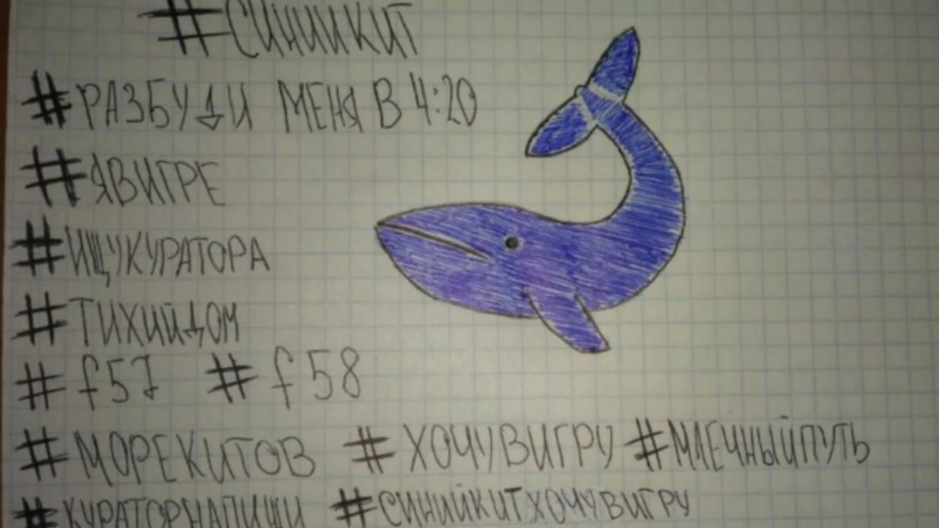 El juego de la Ballena Azul El juego de la Ballena Azul