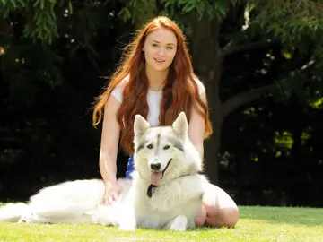 Perro que interpretó al huargo de Sansa Perro que interpretó al huargo de Sansa