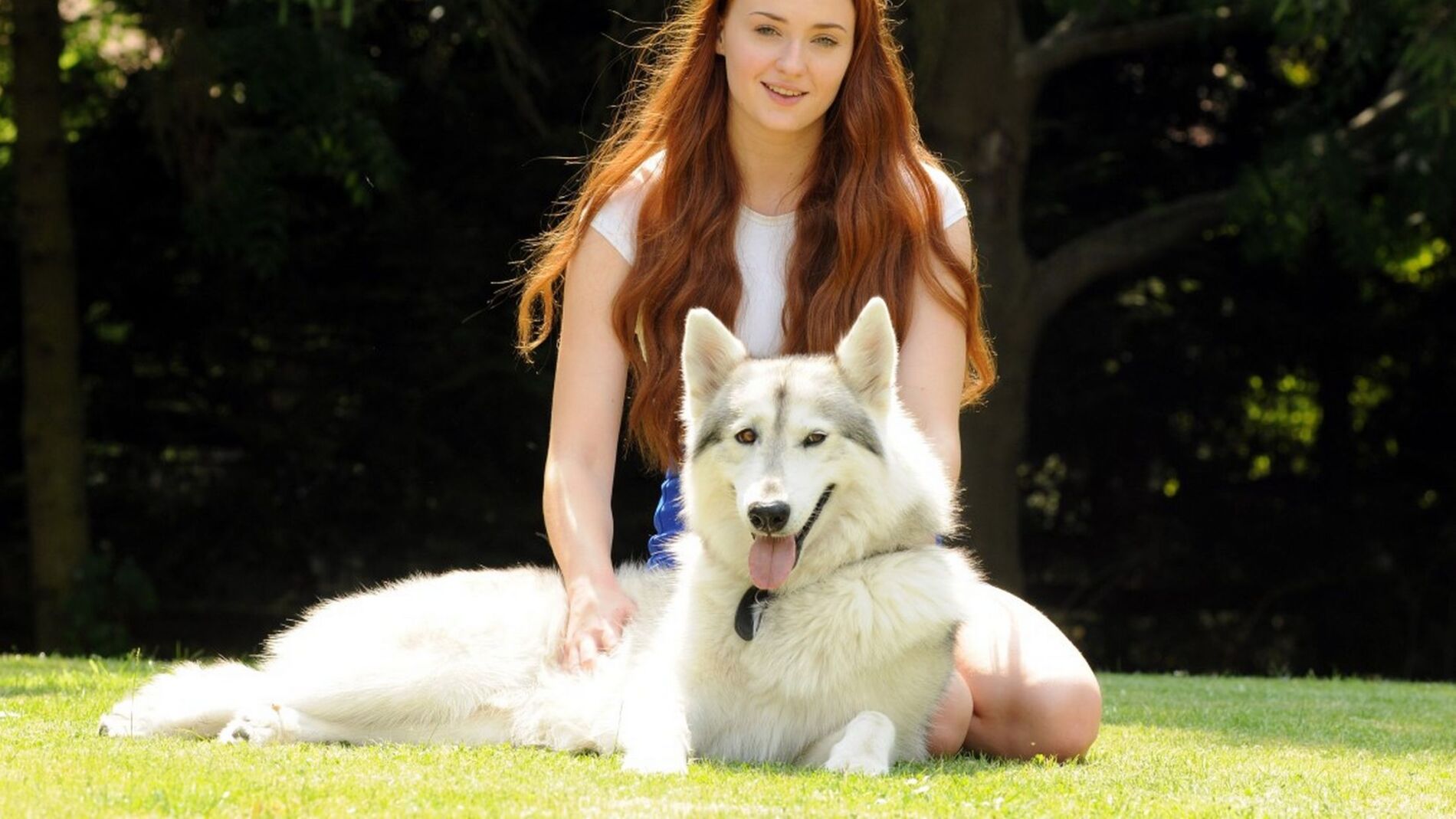 Perro que interpretó al huargo de Sansa