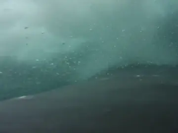 Frame 13.286214 de: Nadando con ballenas en la Antártida Frame 13.286214 de: Nadando con ballenas en la Antártida