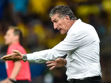 Bauza, en un partido de la selección argentina Bauza, en un partido de la selección argentina