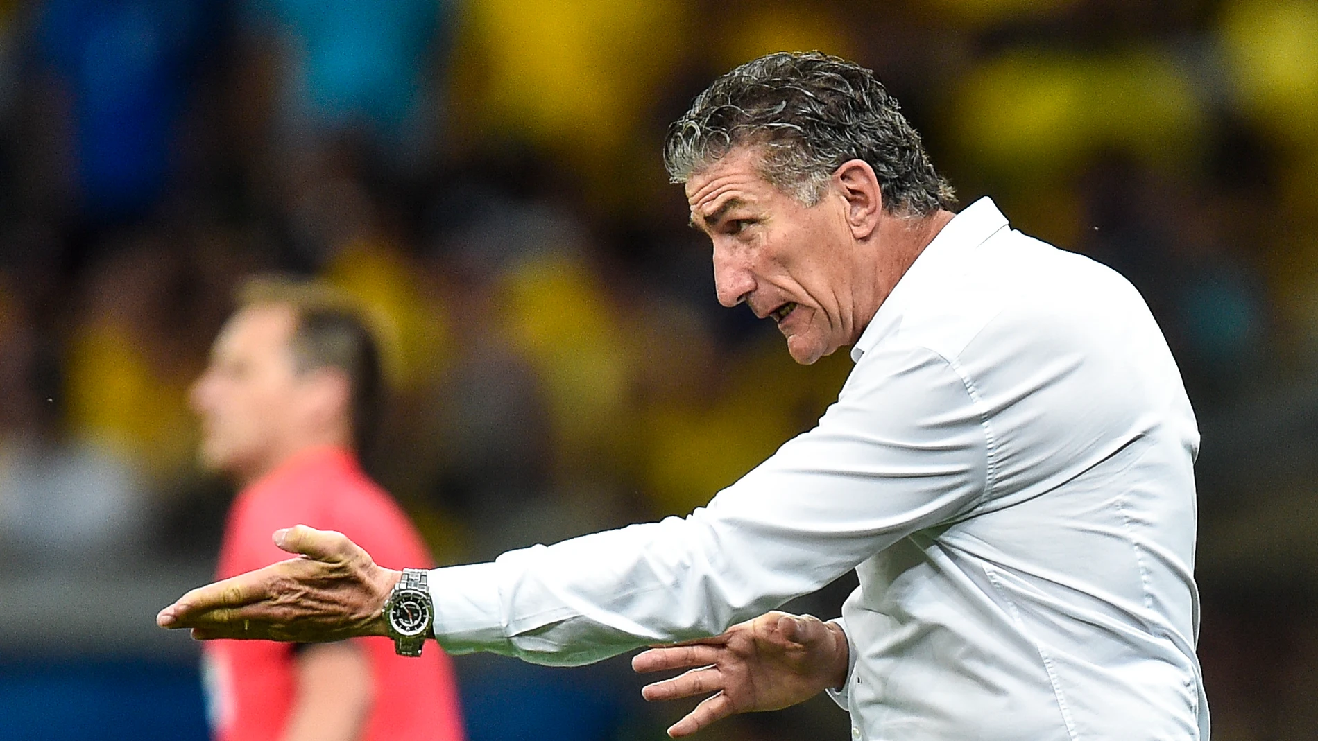 Bauza, en un partido de la selección argentina Bauza, en un partido de la selección argentina