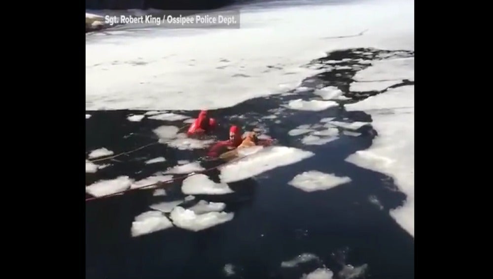 Bomberos salvan a perro de lago helado