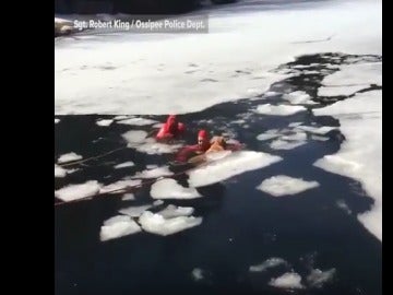 Bomberos salvan a perro de lago helado