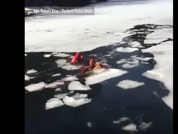 Bomberos salvan a perro de lago helado Bomberos salvan a perro de lago helado