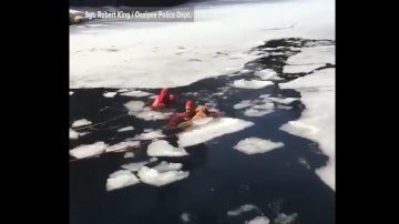 Bomberos salvan a perro de lago helado