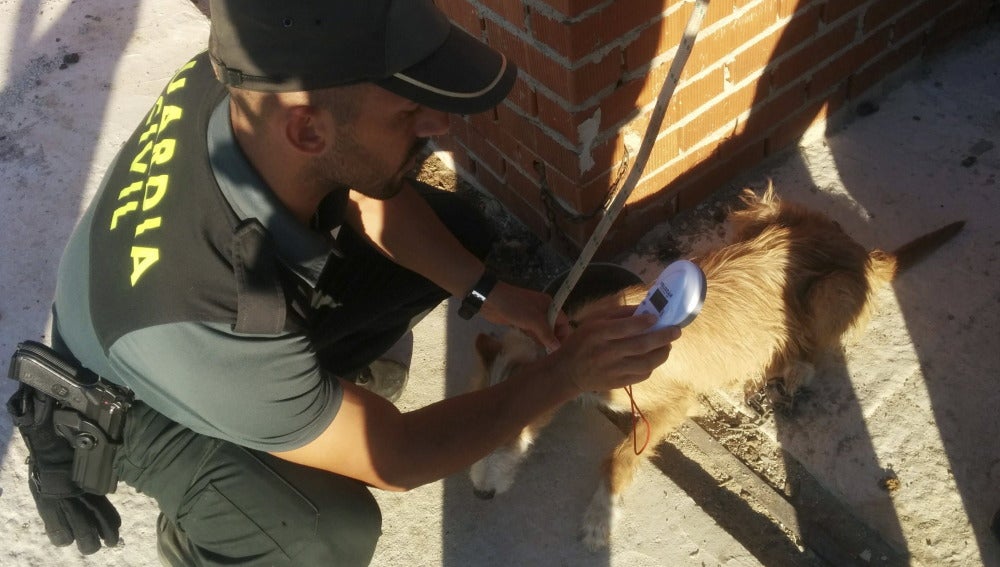 La Guardia Civil junto a un perro