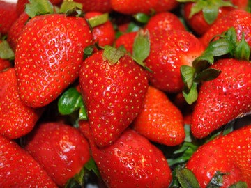 Un estudio en ratones muestra como actuan las fresas contra el cancer de mama Un estudio en ratones muestra como actuan las fresas contra el cancer de mama