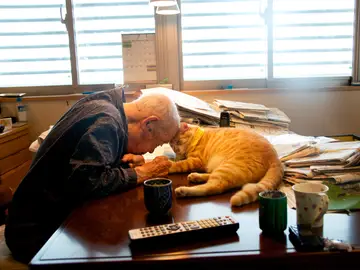 Jiji y Kinako muestran afecto en un momento especial Jiji y Kinako muestran afecto en un momento especial