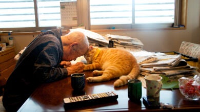 Un anciano recupera las ganas de vivir gracias al gato que le regala su nieta