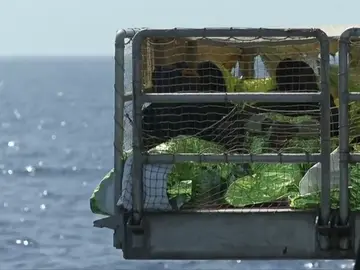 Frame 25.792 de: Rescatados otros 2.000 inmigrantes y al menos 7 cadáveres en Mediterráneo Frame 25.792 de: Rescatados otros 2.000 inmigrantes y al menos 7 cadáveres en Mediterráneo